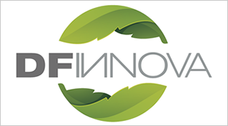 Logo DFInnova