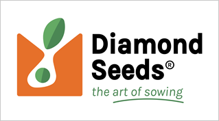 Logo Diamond Seeds